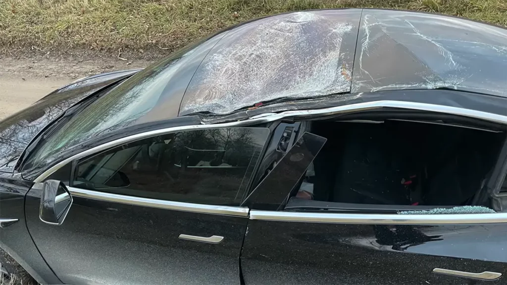 The glass roof of the Tesla Model 3 after the tree falling incident. The cabin mostly stayed intact and occupants remained safe during the incident.