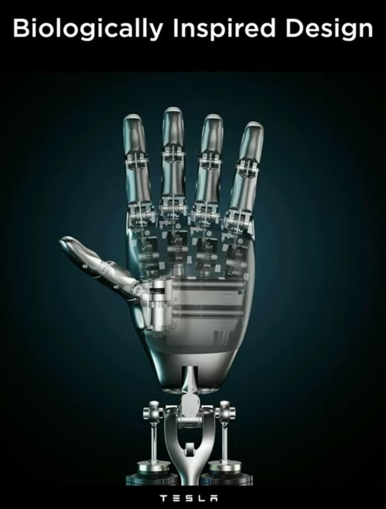 Biologically-inspired design of the hands of Tesla Bot Optimus as shown at AI Day 2022.