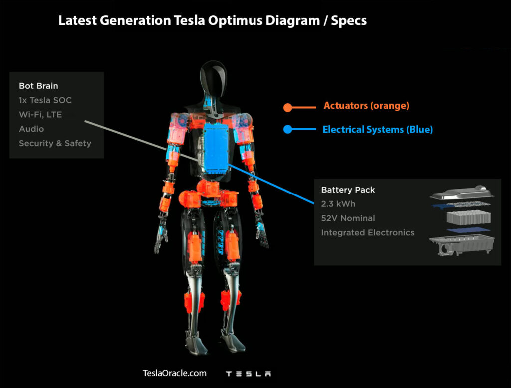 Diagram showing actuators, battery pack, and central computer systems of Tesla Bot Optimus.