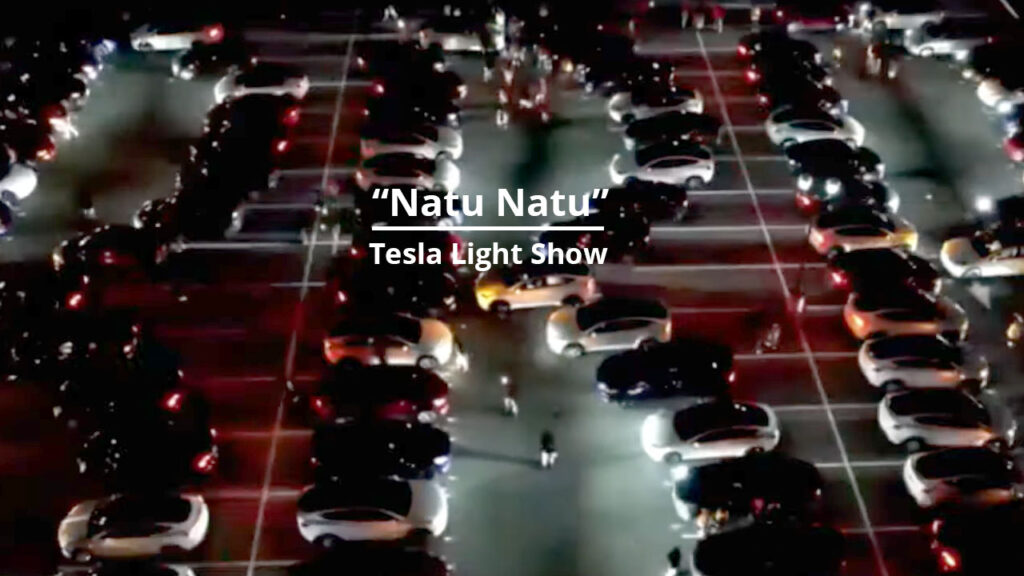 Tesla Light Show performed on RRR movie song Natu Natu in New Jersey.