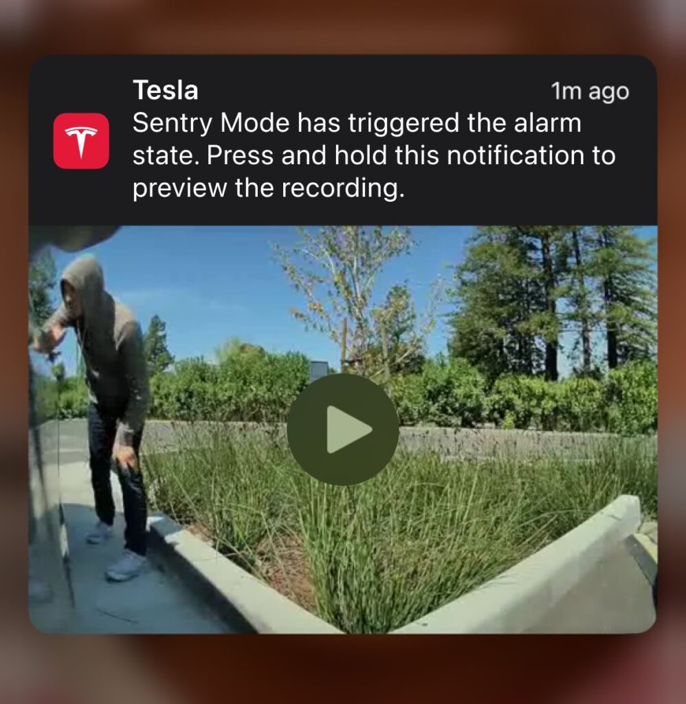 Sentry Mode clips can now be previewed by the Tesla vehicle owner on his/her mobile phone using the Tesla app.