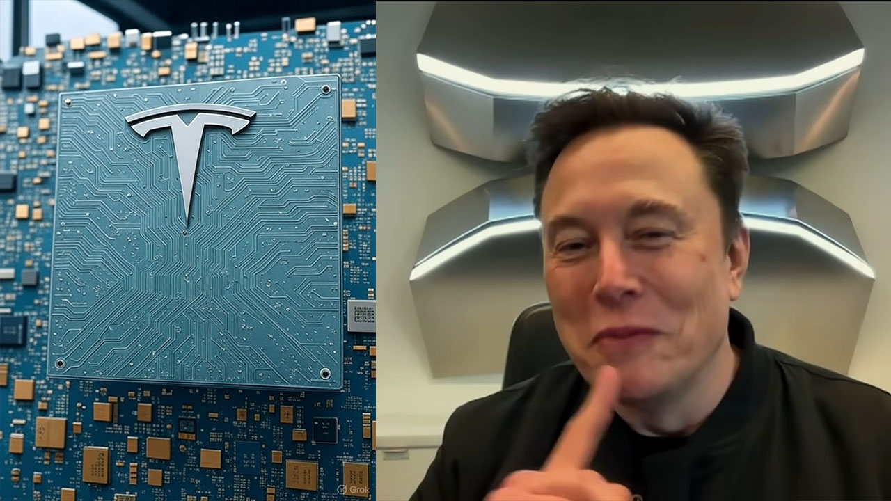 Tesla Stock Movement Analysis: November 24, 2025 Event